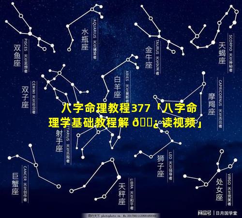 八字命理教程377「八字命理学基础教程解 🌿 读视频」